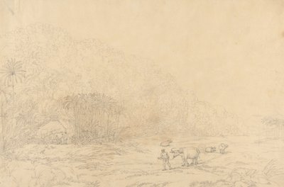 普洛孔多雷岛的景观 作者 约翰·韦伯