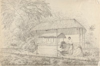 奥黑特帕酋长瓦黑阿杜阿（Waheiadooa）躺在病榻上 作者 约翰·韦伯