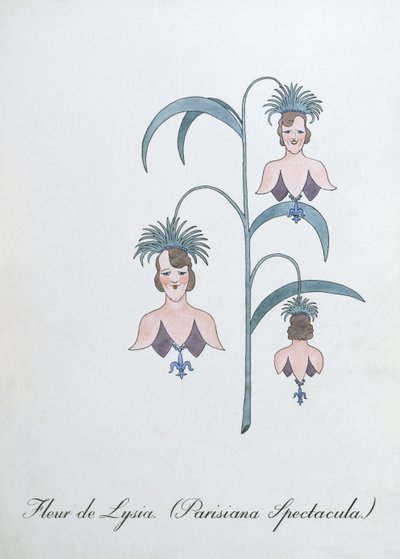 Fleur de Lysia（Parisiana Spectacula。），约翰·威尔《植物学伪书》中的插图 作者 约翰·威尔