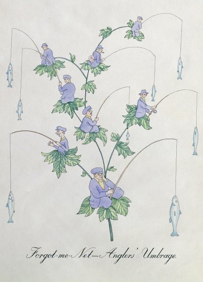 勿忘我网，钓鱼者的不满，约翰·威尔《植物学伪书》中的插图 作者 约翰·威尔