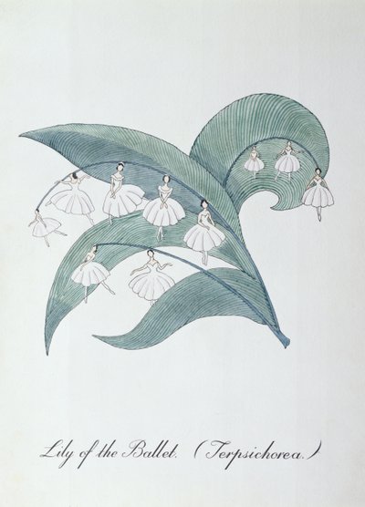芭蕾百合（Terpsichorea.），插图选自约翰-威尔的《植物学怪书 作者 约翰·威尔