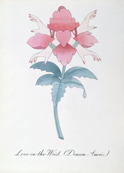 手腕上的爱 (Donum Amoris.) 插图，摘自约翰·威尔 (John Weir) 的《植物学伪书》 作者 约翰·威尔