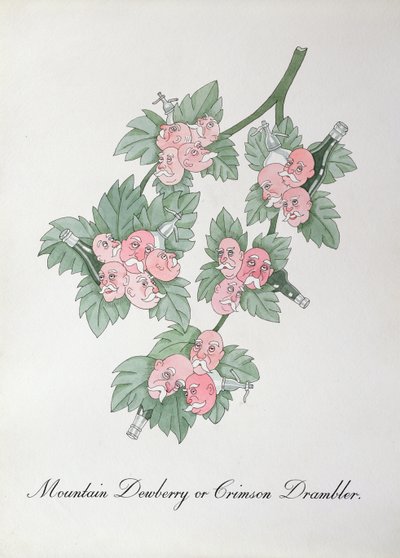 Mountain Dewberry 或 Crimson Drambler，插图来自约翰·威尔的《植物学伪书》 作者 约翰·威尔