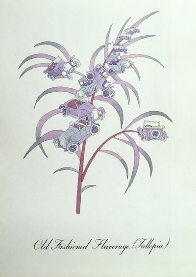 老式 Flivverage（Fallopia。），插图来自约翰·威尔的《植物学伪书》 作者 约翰·威尔