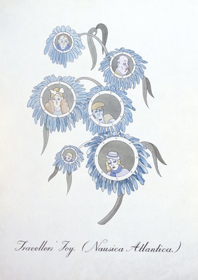 旅行者的欢乐 (Nausica Atlantica.)，插图来自约翰·威尔 (John Weir) 的《植物学伪书》 作者 约翰·威尔