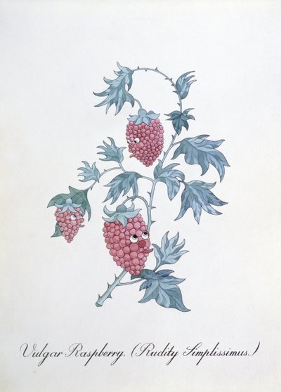 庸俗覆盆子（Rudity Simplissimus），插图选自约翰-威尔（John Weir）的《植物学怪谈》（The Bogus Book of Botany）。 作者 约翰·威尔