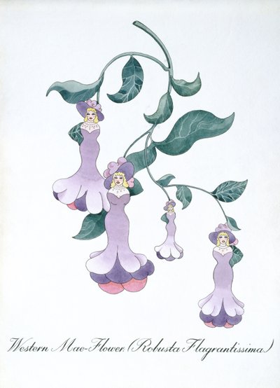 西梅花（Robusta Flagrantissima），插图来自约翰·威尔的《植物学伪书》 作者 约翰·威尔