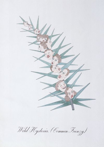 野性的歇斯底里（常见的狂热），插图选自约翰-威尔的《植物学怪谈》。 作者 约翰·威尔