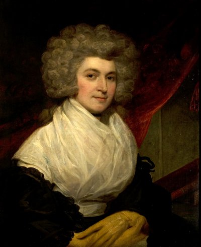 一位女士的画像 作者 John Westbrooke Chandler