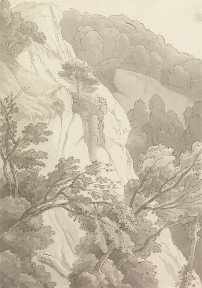 坎农泰恩 作者 约翰·怀特·雅培
