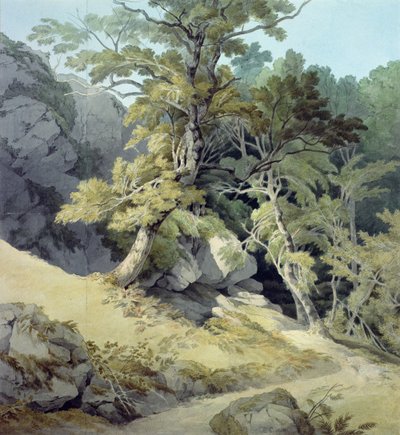 Canonteign，Devon 作者 约翰·怀特·雅培