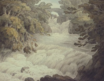 落在Cladish 作者 约翰·怀特·雅培