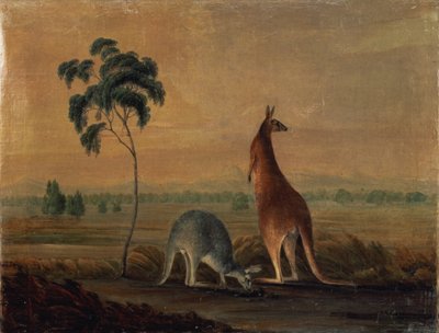 袋鼠在风景，c.1819 作者 约翰·威廉·莱温