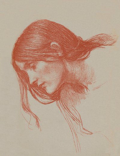 菲利斯和台风研究，c1897 作者 约翰·威廉姆·沃特豪斯