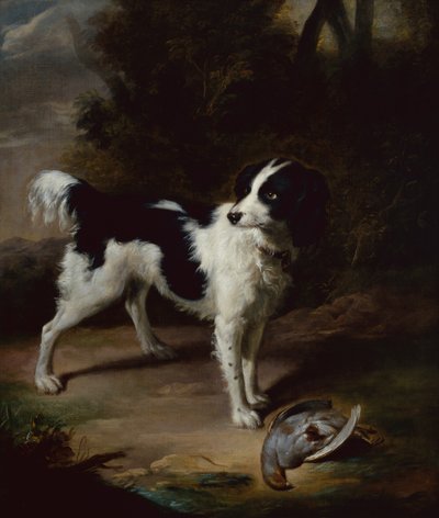 景观中的黑白斯普林格猎犬和一只死去的鹧鸪（油画） 作者 约翰·伍顿