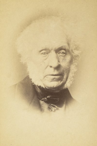 [大卫-布鲁斯特爵士]，1860年代。 作者 John and Charles Watkins