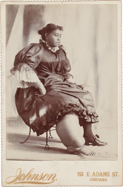妇女肖像，约 1890 年（照片1890 年（照片） 作者 约翰逊