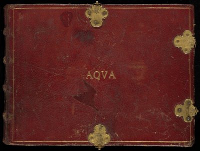 动物 Aqvatilia et Cochiliata》（Aqva），第 III 卷 作者 乔里斯·霍夫纳格尔