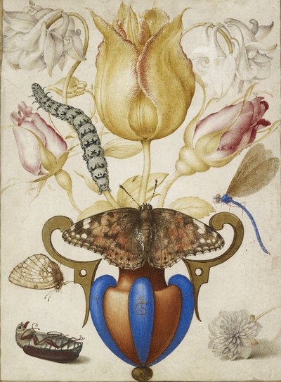 花瓶中的花的安排，与昆虫，1594（牛皮纸上的黄金水彩） 作者 乔里斯·霍夫纳格尔