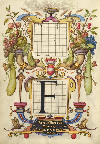 字母 F 构词指南 作者 乔里斯·霍夫纳格尔