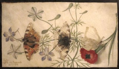 花与蝴蝶研究 作者 乔里斯·霍夫纳格尔