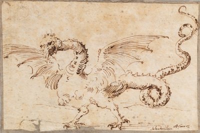 龙的研究，1620年代。 作者 何塞·里贝拉·德