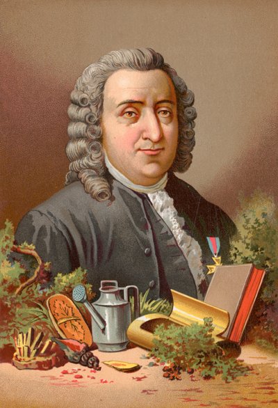 Carl Linnaeus 作者 何塞·阿梅特·波塔内尔