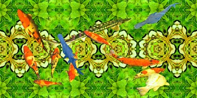 Creatures: Koi carp fish under water garden 3   1448143   zh       chinese Successfully Translated  Original: Before us stood an immense gorilla (colour litho) Translat: Before us stood an immense gorilla (colour litho) 1398978 zh chinese Successfully Tran 作者 约瑟夫·约翰·迈克尔