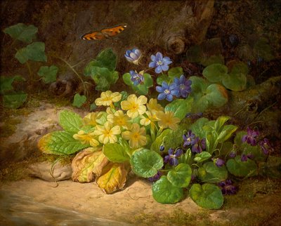 小花块（高山花卉） 作者 约瑟夫·劳尔