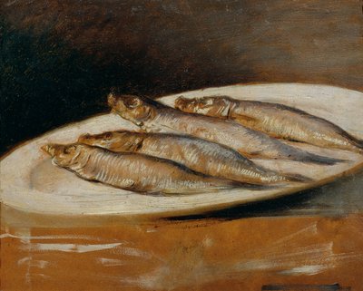 沙丁鱼 作者 约瑟夫·纳夫拉蒂尔（JosefNavrátil）