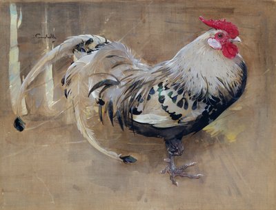 闪烁的公鸡 作者 约瑟夫·克劳霍尔