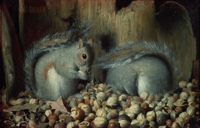 Gluttons（松鼠） 作者 约瑟夫·德克尔