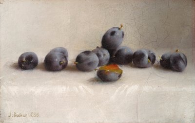 十二梅 作者 约瑟夫·德克尔