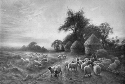 绵羊饲养，c1890，1911年 作者 约瑟夫·法夸森