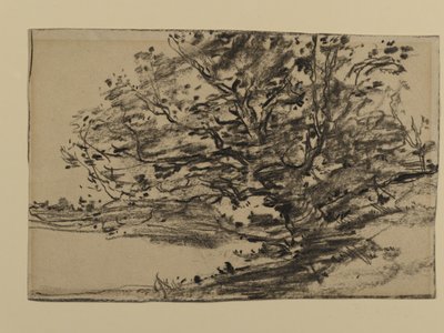 树木的研究，1870年（石墨在纸上） 作者 约瑟夫·弗兰克·库里尔