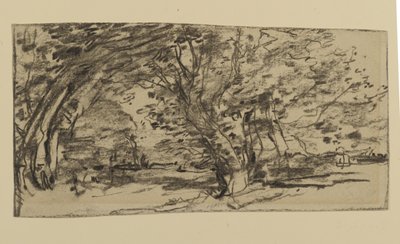 树木的研究，1870年（石墨在纸上） 作者 约瑟夫·弗兰克·库里尔