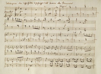 来自清唱剧&39;The Seasons&39;的&39;春天&39;得分的序曲，于1801年4月首次演出 作者 约瑟夫·海顿