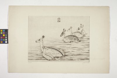 Cerfs Indochinois I（印度支那鹿 I）（奶油色织纹纸上的版画） 作者 约瑟夫赫克特