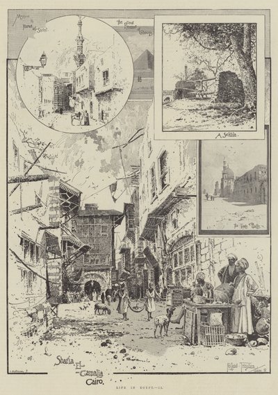 生活在埃及 作者 Joseph Holland Tringham