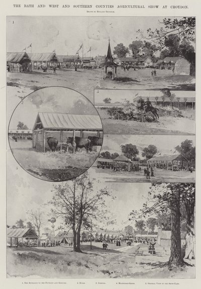 巴斯和克罗伊登的西部和南部县农业展 作者 Joseph Holland Tringham