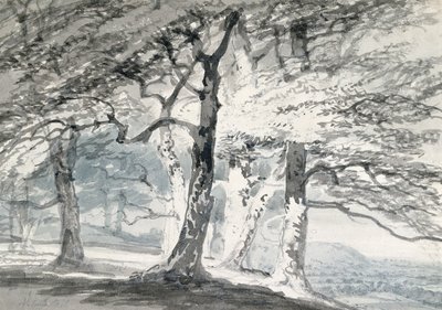 萨里（Surrey）诺伯里公园（Norbury Park）（铅笔和纸上水彩） 作者 约瑟夫·马洛德·威廉（约瑟夫·特纳）