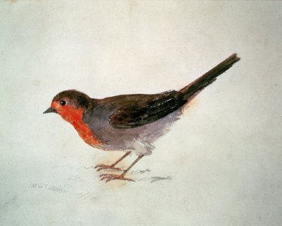 Robin, from The Farnley Book of Birds, c.1816 (pencil and watercolor on paper) 作者 约瑟夫·马洛德·威廉·特纳