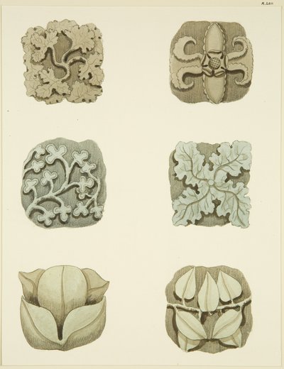圣玛丽-雷德克里夫教堂天花板上的凹槽石（老板）（纸上水彩画 作者 约瑟夫·曼宁