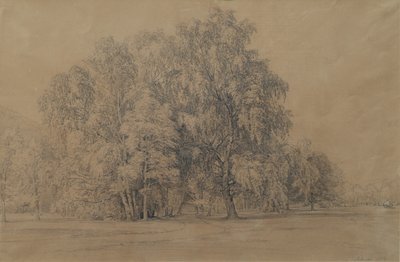 下奥地利州 Seebenstein 城堡公园中的桦树群 作者 约瑟夫·马丁·霍格