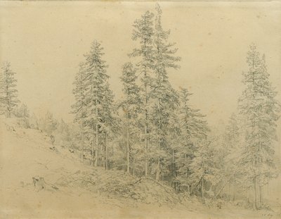 Edeltann 作者 约瑟夫·马丁·霍格
