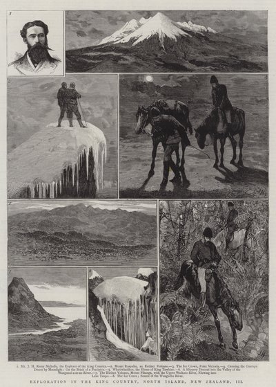 在新西兰北岛的国王探索，III 作者 Joseph Nash