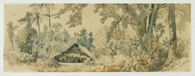 加罗林群岛普伊尼佩特（波纳佩）岛上的土著小屋 作者 约瑟夫塞勒尼