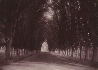 约 1855 年，奥日河畔萨维尼的大沃城堡车道，维吉耶家族宅邸（照片） 作者 约瑟夫维吉耶