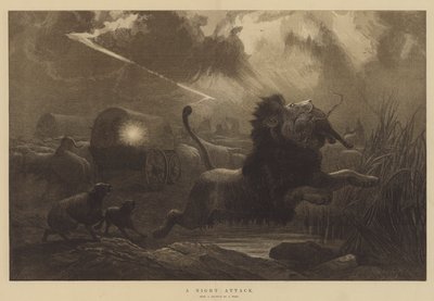 夜袭 作者 Joseph Wolf