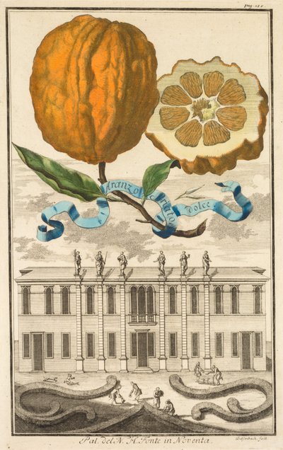 Nurnbergische Hesperides: No.  诺文塔的 N. H. 方特宫殿 作者 约瑟夫·德·蒙塔莱格里